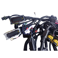 Arnés de Cables D13 22944148 21910107 para Motor Volvo D13, Cableado para Maquinaria de Construcción
