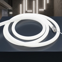 Bande LED néon SMD2835 monocolore blanche D25mm, étanche IP67, 8mm/10mm, 16W DC12V/24V, certifiée CE RoHS