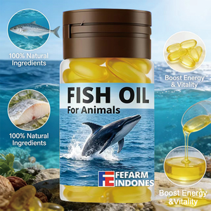Aceite de bacalao orgánico de alta potencia y calidad premium para animales, rico en Omega-3 EPA y DHA, seguro para cachorros y perros mayores, envío rápido, OEM - Product Image 4