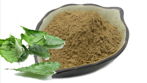 Extrait de plante vivace Epimedium en spray, poudre d'extrait d'Epimedium, Icariine 30:1 50:1 - Product Image 2