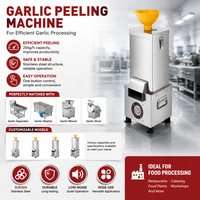 Machine à peler l'ail BlinkSong BS-DTP25, commerciale, automatique, en acier inoxydable, électrique, 25 kg par heure, pour restaurant et cuisine