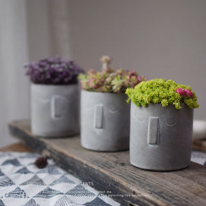 Maceta suculenta minimalista nórdica maceta de cemento hecha a mano con diseño de nariz decoración del hogar regalo - Product Image 1