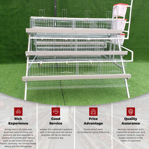 Katmanlı Yumurtacı Tavuklar Tavuk Yetiştirme Kafesi Batarya Hayvan Galvanizli Tavuk Kafesleri Yumurtacı Tavuklar 96/120/128/160 Kapasiteli Kuş Yumurtlama Kafesi - Product Image 6