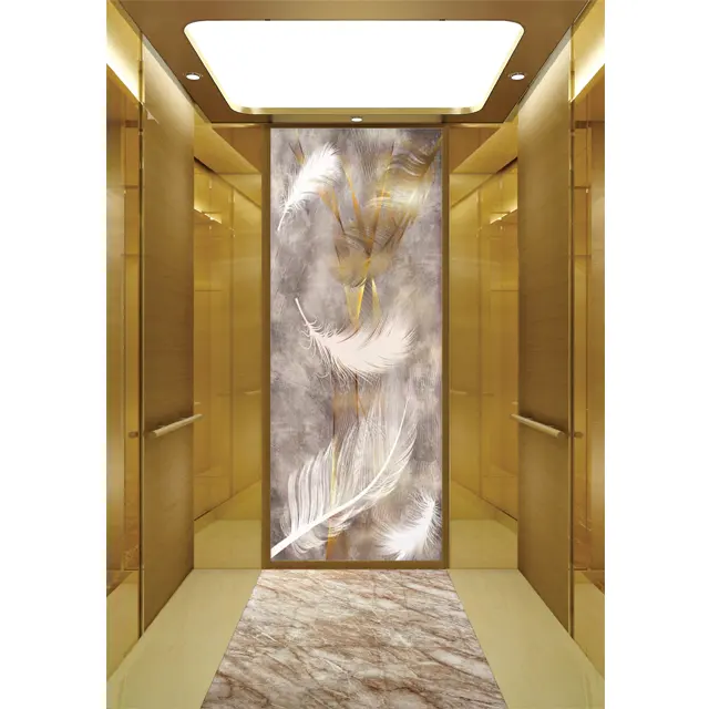 Custom luxury Indoor elevator residential buildings passenger elevator passenger lift