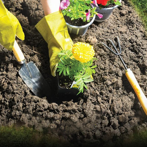Kit de herramientas para bonsái, herramientas de jardinería para interiores, Mini herramientas de mano suculentas con bolsa, cuidado de plantación de hadas para interiores en miniatura, Verde - Product Image 5