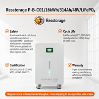 Batterie murale LiFePO4 51,2 V 16 kWh, conception compacte 0,08 m, roulettes robustes, installation sans outil CAN pour l'énergie solaire