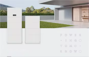 ระบบจัดเก็บพลังงานสำหรับที่อยู่อาศัยแบบไฮบริด Tenglong <span class=keywords><strong>SPH</strong></span> 3000-6000TL-HUB ออลอินวัน <span class=keywords><strong>5</strong></span>-10 กิโลวัตต์ 51.2 โวลต์ LiFePO4 แบบต่อพ่วงได้ พร้อมระบบสมาร์ท - Product Image 4