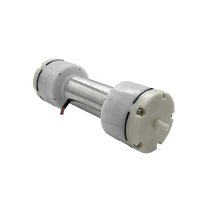 Pompe à air sans balais à double tête 555A, longue durée de vie, débit élevé pour tentes, matelas pneumatiques ; pompe miniature 12V pour thérapie par l'air - Product Image 1