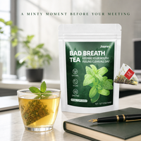 Sachets de Tisane Menthe Fraîche 10 Sachets Sans Sucre Pour le Matin, les Réunions au Bureau, la Fraîcheur Quotidienne, la Pause, la Détente Nocturne
