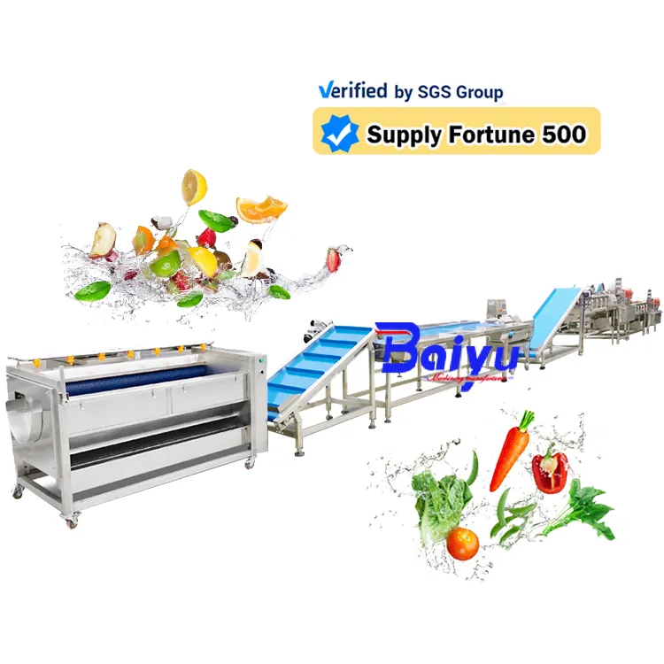 Baiyu cabbage automatic production line ultrasonic fruit and vegetable cleaner water spray fruit washing machine of fruit juice