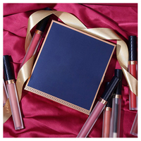 Vente chaude marque privée longue durée mat liquide rouge à lèvres et lèvres plus dodues ensemble de maquillage crème imperméable forme brillant à lèvres en gros
