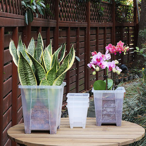 Pots d'orchidées, trous, soucoupes, plante en <span class=keywords><strong>plastique</strong></span> transparent, <span class=keywords><strong>jardinière</strong></span> d'intérieur, Mini <span class=keywords><strong>jardinière</strong></span>, pot de fleurs d'extérieur, pots de fleurs en <span class=keywords><strong>plastique</strong></span> - Product Image 6