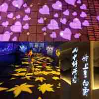 Estilo moderno 300W led al aire libre proyector de logotipo de Publicidad