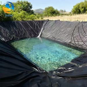 Géomembrane HDPE moderne à durée de vie prolongée, anti-UV, pour revêtement de barrages, piscicultures et projets lacustres - Product Image 2