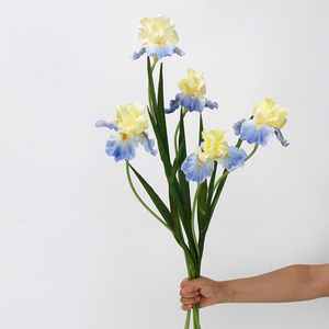 Venta al por mayor 21,65 ''realista Artificial <span class=keywords><strong>Iris</strong></span> Cymbidium orquídea flores PU Real Touch boda graduación fotografía decorativa - Product Image 4