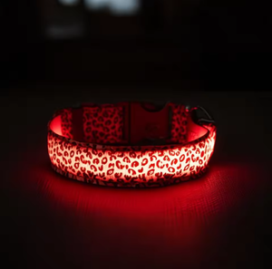 조정 가능한 <span class=keywords><strong>LED</strong></span> 개 목걸이 충전식 분실 방지 야간 깜박임 조명 우아한 간단한 솔리드 나일론 반사 현대 럭셔리 - Product Image 4