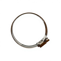 Colliers de serrage à dégagement rapide américains Colliers de serrage pour radiateur Colliers de serrage pour écrou à ailettes
