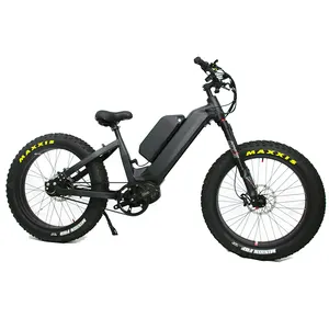 Step Through Electric Fat Bike Bafang Automatic Gears 5 speeds Ebike Gates Belt Drive Electric Bicycle 1000W
