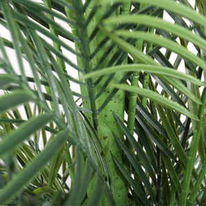 Palmera Bonsái Artificial Ligera Hecha a Mano, Tamaño Personalizado, Ecológica, Resistente a los Rayos UV, para Interiores y Exteriores, Hogar y Oficina - Product Image 2