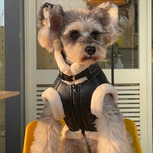 Chaqueta Clásica de Invierno para Perros, Abrigo Grueso sin Mangas para Teddy, Schnauzer, Bichón, Maltese, <span class=keywords><strong>Yorkshire</strong></span>, Hecho de Poliéster - Product Image 2
