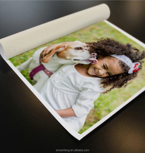 Cuộn Vải Bạt Trống Giá Xuất Xưởng Vải Cotton Họa Sĩ Chất Lượng Tốt Có Thể In Bán Chạy Trung Quốc Bóng Mờ - Product Image 4