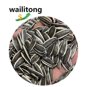 Wailitong Wholesale 361 601 363生のひまわりの種ストライプの黒い巨大なひまわりの種バッグ50kgひまわりの種殻なし