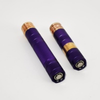 B025 Mini Allumeur Laser Portable Bleu Vert pour le Camping, Lampe Torche pour l'Allumage en Camping