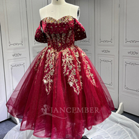 Lsmu166 Rote Quinceañera-Kleider für Mädchen mit Quasten, Plissiert, Schulterfrei, Prinzessinnen-Stil, Anpassbar, Xv Vestido De Anos Jancember