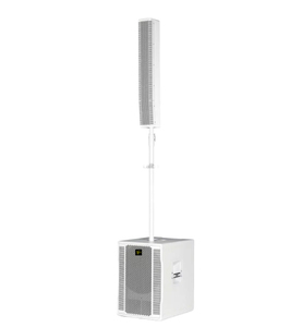 Altavoz de Columna Activo Portátil y Duradero, Impedancia de 8 ohmios, Conexión Wi-<span class=keywords><strong>Fi</strong></span>, Resistente al Agua, 360 W, para Bodas, Fiestas, Clubes, DM203, Madera - Product Image 1