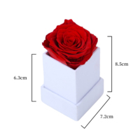 Tête de rose naturelle préservée dans un coffret cadeau, cadeau de la Saint-Valentin, cadeaux de mariage, fête des mères, vente en gros personnalisée, fourniture d'usine