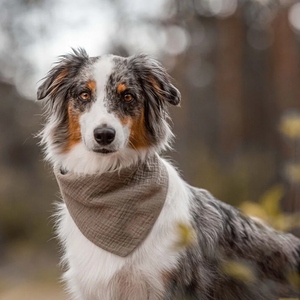 Fábrica al por mayor de lujo personalizado perro diademas Bandana bordada con logotipo - Product Image 3