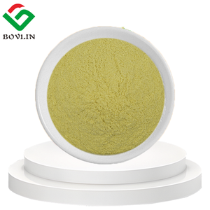 Kuersetin Tozu Doğrudan Tedarik Saf Doğal Sophora Japonica Özü Kuersetin %98 Özüt Tozu Toptan Fiyatı - Product Image 2