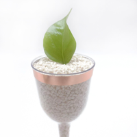 Granulés de plastique biodégradable PBAT pour la production de films compostables