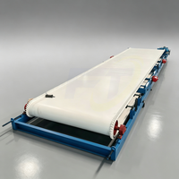 Laveuse automatique de tapis pour la récupération des minerais de minerai de tungstène, de tantale et de niobium, et des déchets miniers d'or (0208)