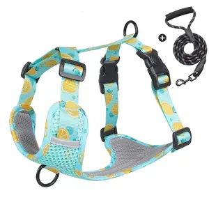 2023 regolabile Pet Cat Harness Vest Walking riflettente Harness Set Cat Dog Harness con guinzaglio