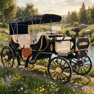Calèche de Mariage Électrique de Luxe à Deux Rangs de Sièges, Style Victoria, Historique et Royale - Product Image 1