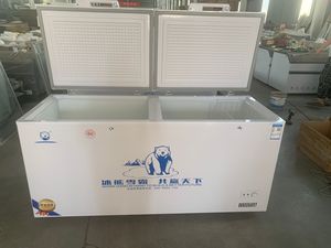 Congelador refrigerado de gran capacidad comercial, puerta de espuma horizontal, congelador profundo - Product Image 5