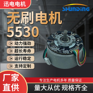 Dc Brushless Motor 5530 36V Wire Leads For Air Purifier Fan <b>Humidifier</b> Household Appliances - Product Image 5