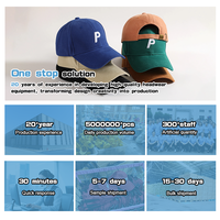 Casquette Snapback 6 Panneaux pour l'extérieur, couleur marron terre uni, avec broderie 3D Motif Feuille d'Arbre de Montagne WOODS