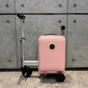 <span class=keywords><strong>Valise</strong></span> Électrique Personnalisée FUTUREJOY – En Stock, Expédition Rapide, Faible MOQ – Sac de Transport Scooter - Product Image 1