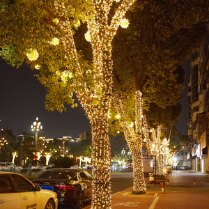 10m 100LED bianco caldo luci Decorative di <span class=keywords><strong>natale</strong></span> luci per interni esterni luci stringa per feste giardino giardino decorazione evento - Product Image 3
