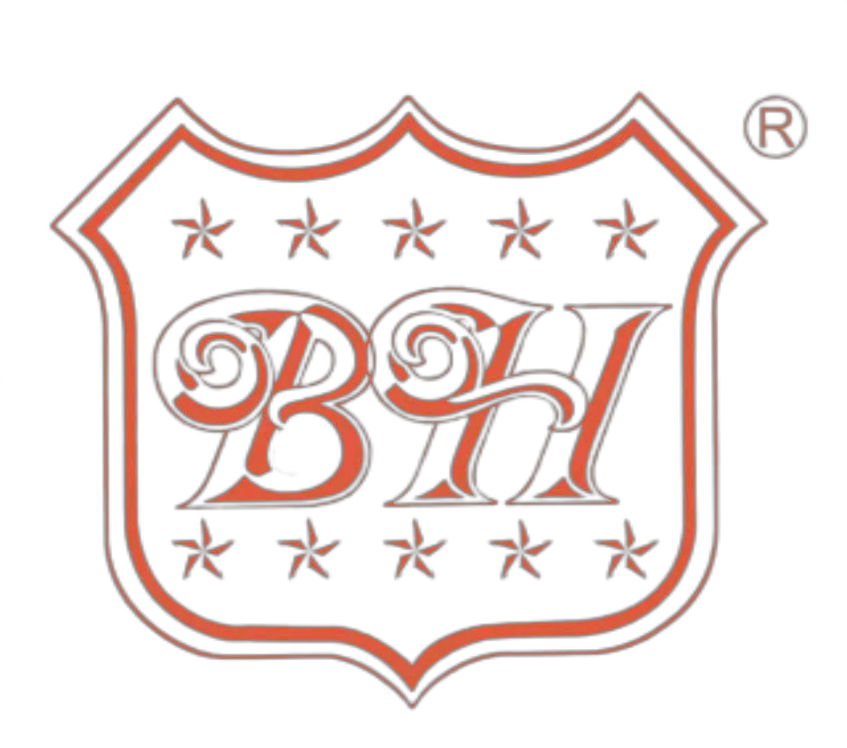Zhejiang Baihao Intelligent Equipment Co., Ltd. logo