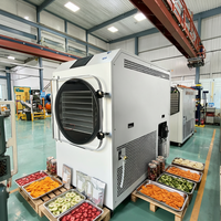 Automatische 35kg 40kg commerciële vriesdroger voor fruit, voedsel en groente, industriële lyofilisator, vacuümvriesdroger