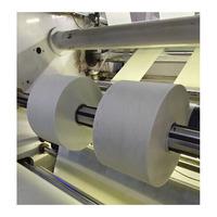 2025 China Sanitary Napkins Raw Material Clothlike Backhseet PE Film Laminated Hot air Through Non Woven