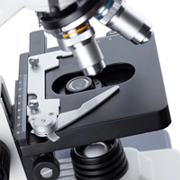 Microscope composé binoculaire LED AmScope 40X-2000X avec tête Siedentopf et caméra USB 2.0 C-mount 5MP