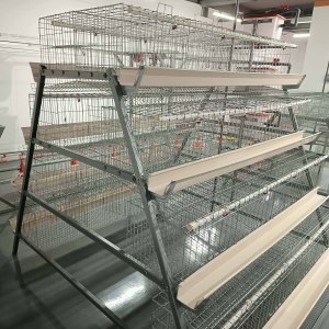 鶏ケージ自動卵家禽農業装置システム - Product Image 2