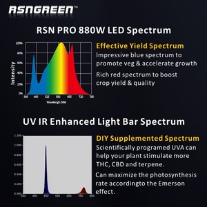 Lampe de culture LED Risen Green <span class=keywords><strong>880</strong></span> Watt à spectre complet, dimmable, 880W, pour plantes en serre, croissance rapide - Product Image 5