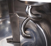 Pizzadeegkneeder spiraalmixer 8kg-25kg professionele bakkerijapparatuur 304 roestvrij staal hoge productiviteit nieuw waterbestendig