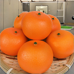 Faux oranges artificielles pour la photographie, accessoires réalistes en mousse, 7,5x7,7 cm, pour l'enseignement photographique - Product Image 2