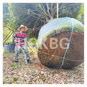 HOKBG-Bolsa de cultivo de maceta de tela tejida de polipropileno anti-UV, resistente, 75 galones, proveedor de vivero, bolsa de jardín para árboles - Product Image 1